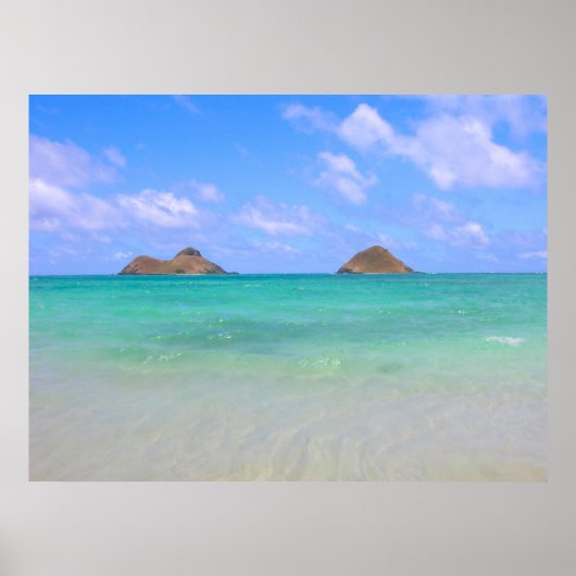 De Mokes Poster (Voorkant)