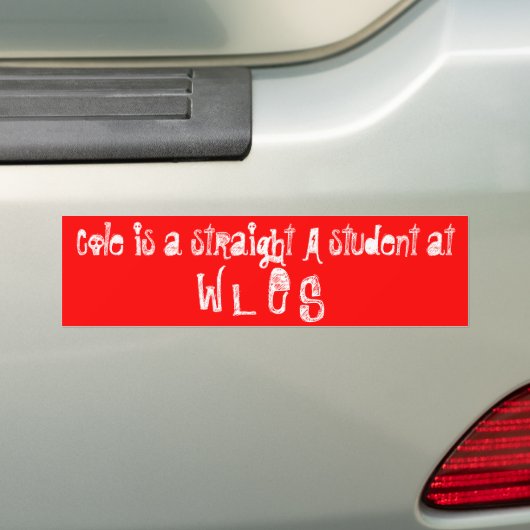 de mol bumpersticker (Op auto)
