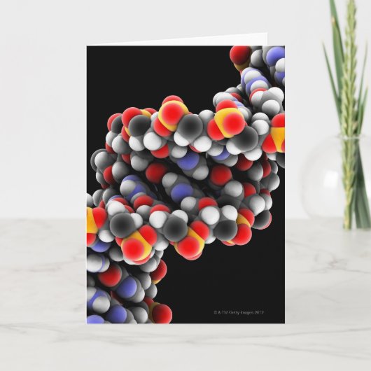 De molecule van DNA. Moleculair model van DNA Kaart (Voorkant)