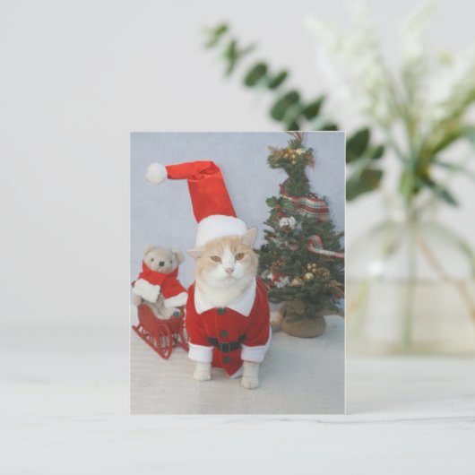 De mollige Kat van de Kerstman Feestdagenkaart (Staand voorkant)