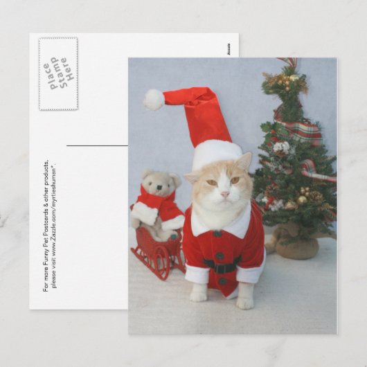 De mollige Kat van de Kerstman Feestdagenkaart (Voorkant / Achterkant)
