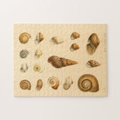 De  Mollusk Seashells Puzzle Legpuzzel (Horizontaal)