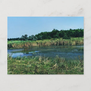 De Molochnaya-rivier nabij Melitopol.  Zuid-Oekraï Briefkaart