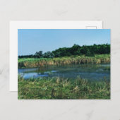 De Molochnaya-rivier nabij Melitopol.  Zuid-Oekraï Briefkaart (Voorkant / Achterkant)