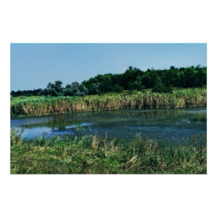 De Molochnaya-rivier nabij Melitopol. Zuid-Oekraïn Perfect Poster