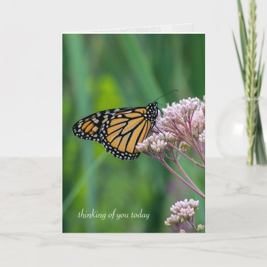 de monarch boter milkweed kaart (Voorkant)