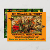 De monarch Butterfly is bedreigd, hoe kan je helpe Briefkaart (Voorkant / Achterkant)