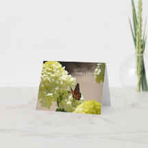 De monarch en de bloemen