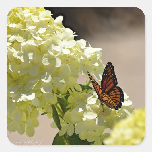 De monarch en de bloemen vierkante sticker (Voorkant)