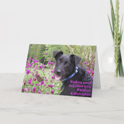 De monarch wenst Kaart (Voorkant)