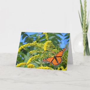 De monarchen - Blank Wenskaart Kaart