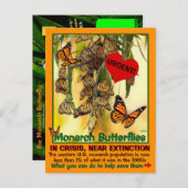 De monboogvlinder is bedreigd - help ze - briefkaart (Voorkant / Achterkant)