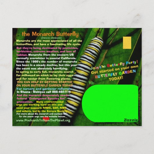 De monboogvlinder is bedreigd - help ze - briefkaart (Achterkant)
