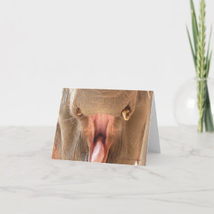 De Mond Notecard van de olifant Kaart