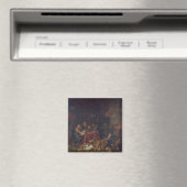 De Moneylenders Magneet (Insitu (Vaatwasser))