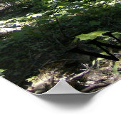 De Monhegan Fairy Poster (Hoek)