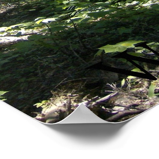 De Monhegan Fairy Poster (Hoek)