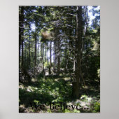 De Monhegan Fairy Poster (Voorkant)