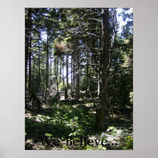 De Monhegan Fairy Poster (Voorkant)