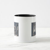 De monniken bedekken koning met drape Camenz Conve Mok (Midden)