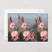 De mooie aanplanting van het Fruit van India Briefkaart (Voorkant / Achterkant)