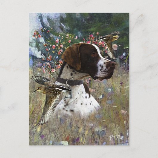 De mooie aanwijzer in het veld briefkaart (Voorkant)