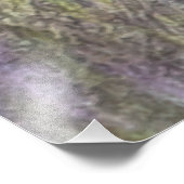 De mooie aanwijzer in het veld foto afdruk (Hoek)