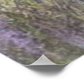 De mooie aanwijzer in het veld poster (Hoek)