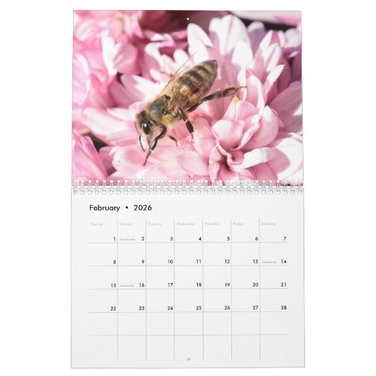 De mooie bijen- en bloemenkalender elk jaar kalender (Feb 2026)