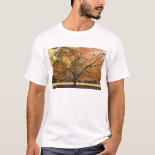 De mooie Boom van de Herfst T-shirt