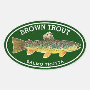 De Mooie Bruine Forel Ovale Sticker