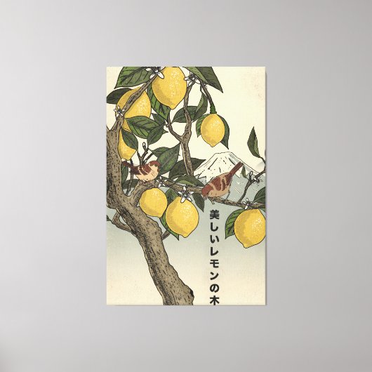 De Mooie Citroenboom Canvas Afdruk (Voorkant)