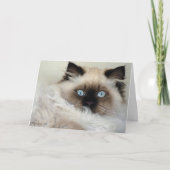 De mooie de kat-Minnaars van Birman Ragdoll Kaart (Voorkant)
