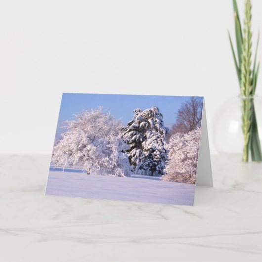 De mooie Foto van de Scène van de Sneeuw Kaart (Voorkant)