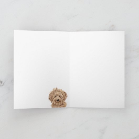 De mooie het Schilderen van de Hond Labradoodle Kaart (Binnen)