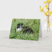 De mooie Kaart van de Nota van Border collie (Gele Bloem)