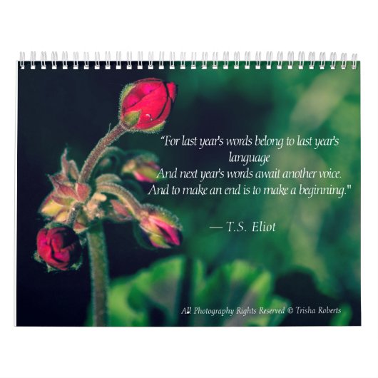 De mooie Kalender 2018 van de Fotografie van de (Hoes)