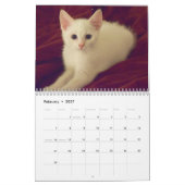 De mooie Kalender 2018 van de Fotografie van de (Feb 2027)