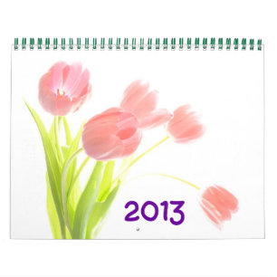 DE MOOIE KALENDER VAN 2013