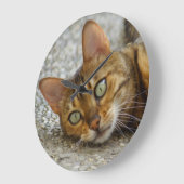 De mooie Kat van Bengalen Grote Klok (Hoek)