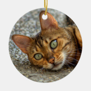 De mooie Kat van Bengalen Keramisch Ornament