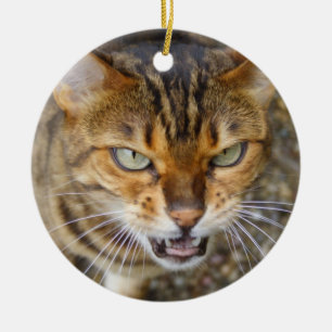 De mooie Kat van Bengalen Keramisch Ornament