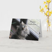 De mooie Kat zegt Gelukkige Afstuderen Kaart (Gele Bloem)
