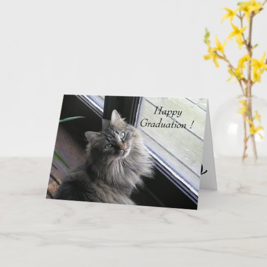 De mooie Kat zegt Gelukkige Afstuderen Kaart (Gele Bloem)