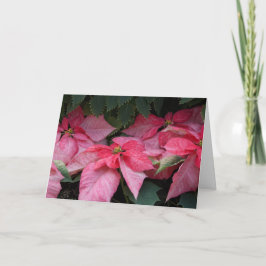 De mooie Kerstkaart van de Foto van Poinsettia Feestdagen Kaart