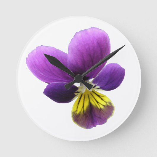 De mooie Klok van de Muur van het Viooltje (Voorkant)
