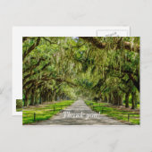 De Mooie Laan Met Eiken Bomen Dank Je Wel Ansichtk Briefkaart (Voorkant / Achterkant)