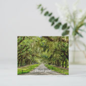 De Mooie Laan Met Eiken Bomen Dank Je Wel Ansichtk Briefkaart (Staand voorkant)