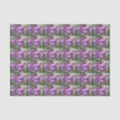 De mooie Lilacs Tissuepapier (Voorkant)