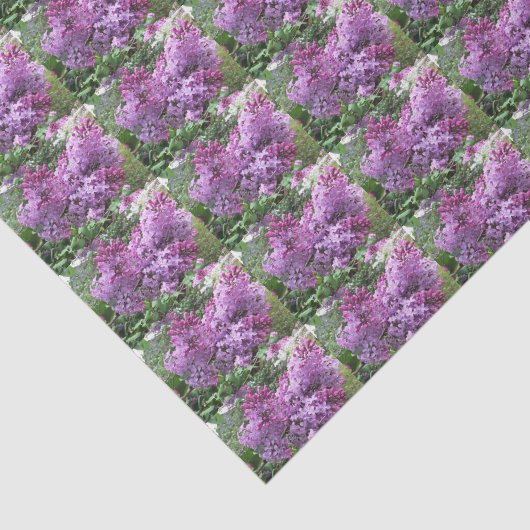 De mooie Lilacs Tissuepapier (Detail)